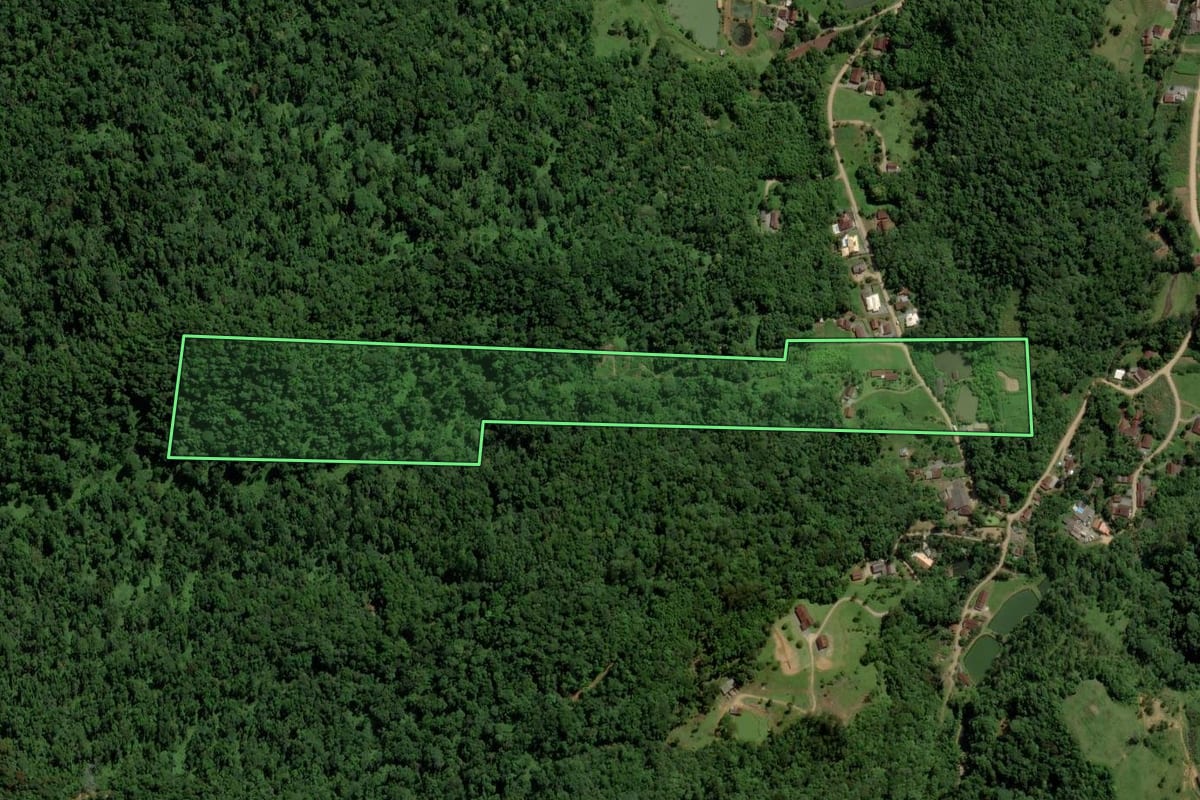 Imagem de satélite do imóvel rural em Jaraguá do Sul (SC), com o contorno declarado no CAR desenhado por cima.