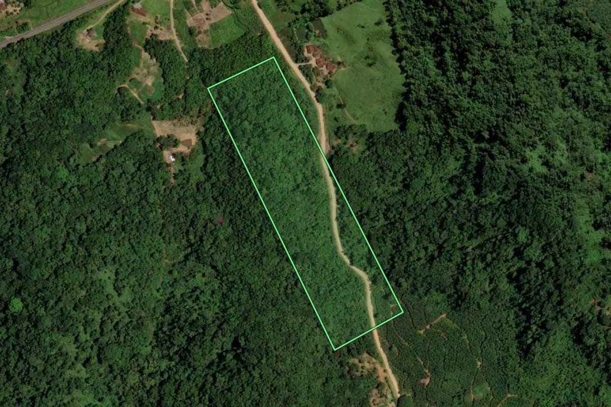 Imagem de satélite do imóvel rural em Jaraguá do Sul (SC), com o contorno declarado no CAR desenhado por cima.