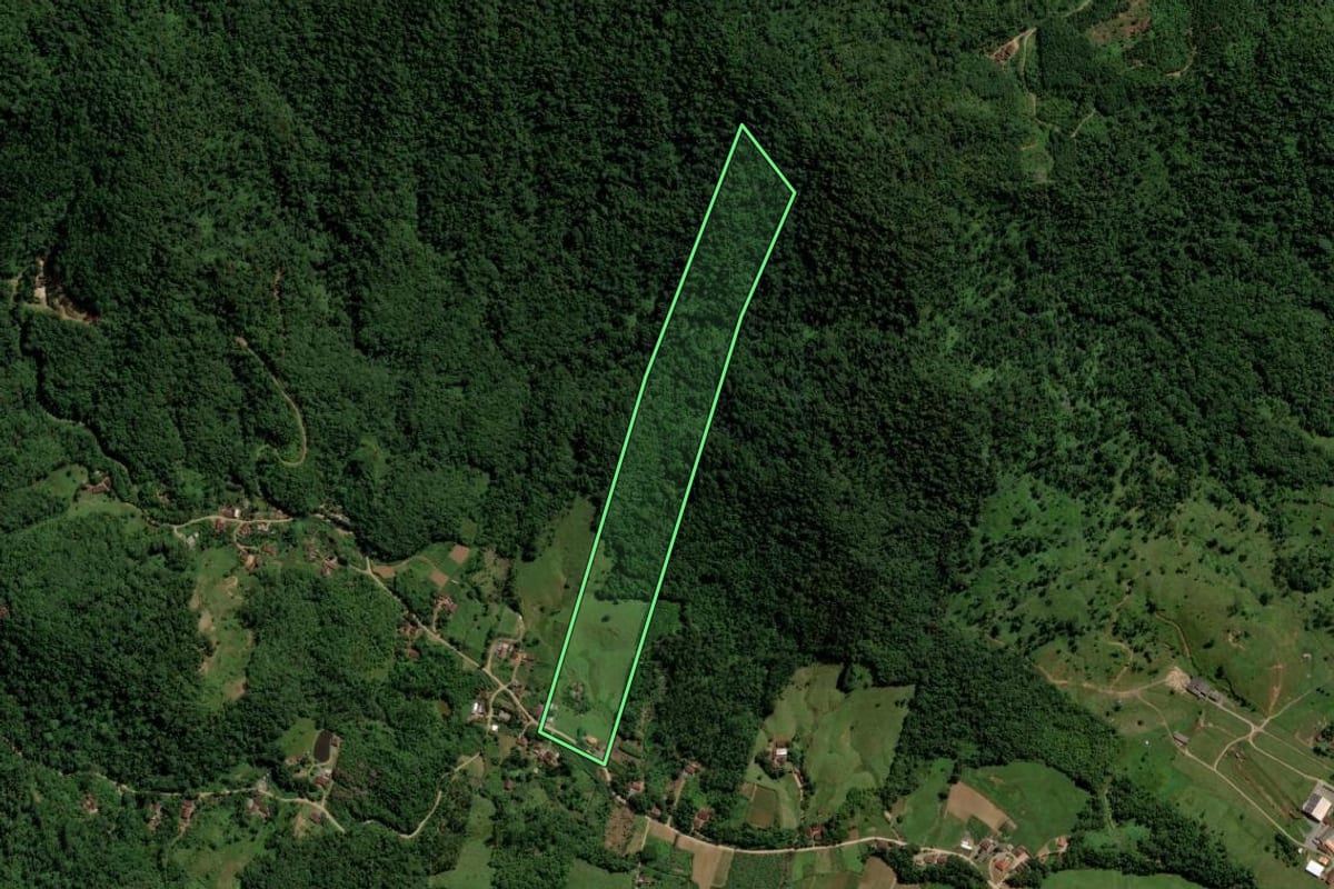 Imagem de satélite do imóvel rural em Jaraguá do Sul (SC), com o contorno declarado no CAR desenhado por cima.
