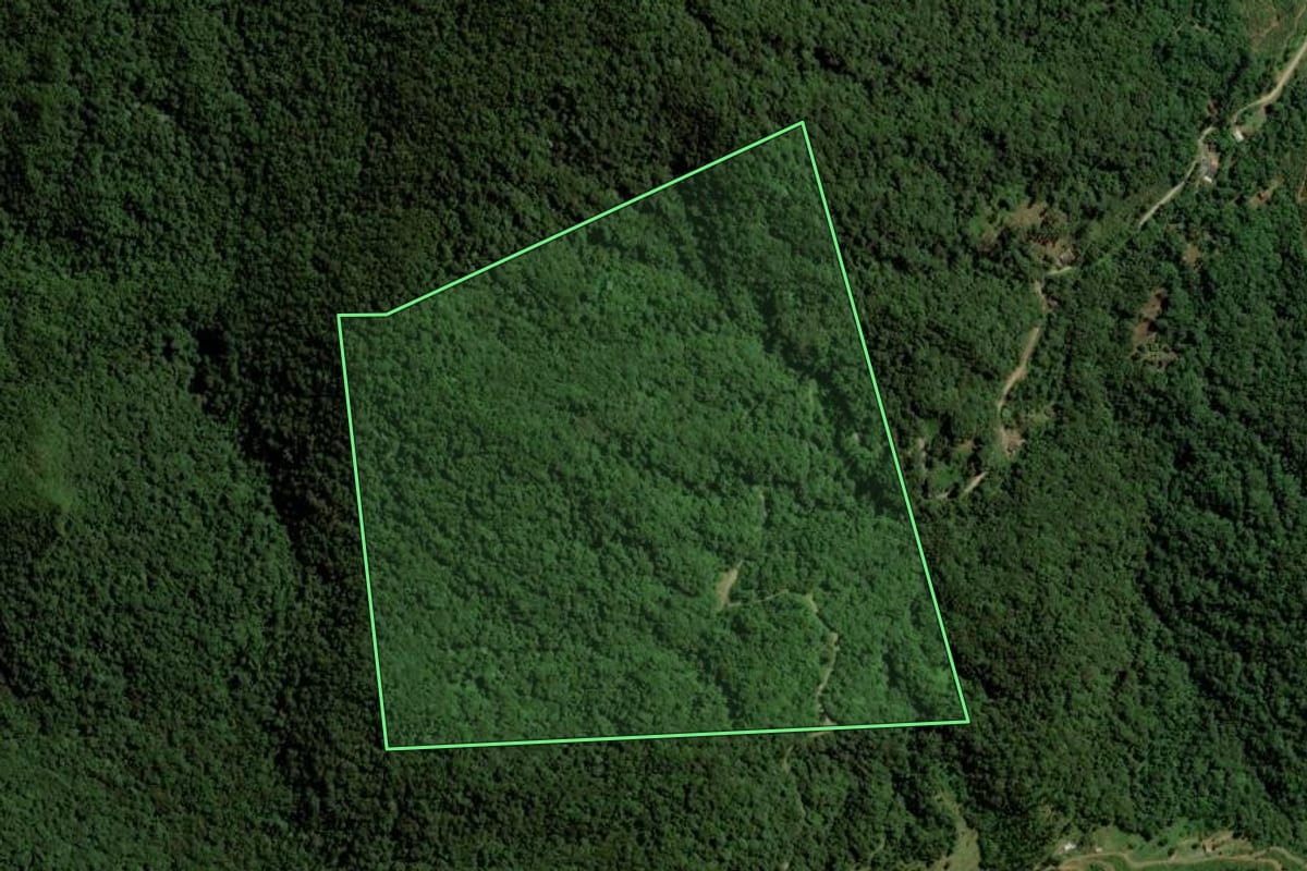 Imagem de satélite do imóvel rural em Jaraguá do Sul (SC), com o contorno declarado no CAR desenhado por cima.