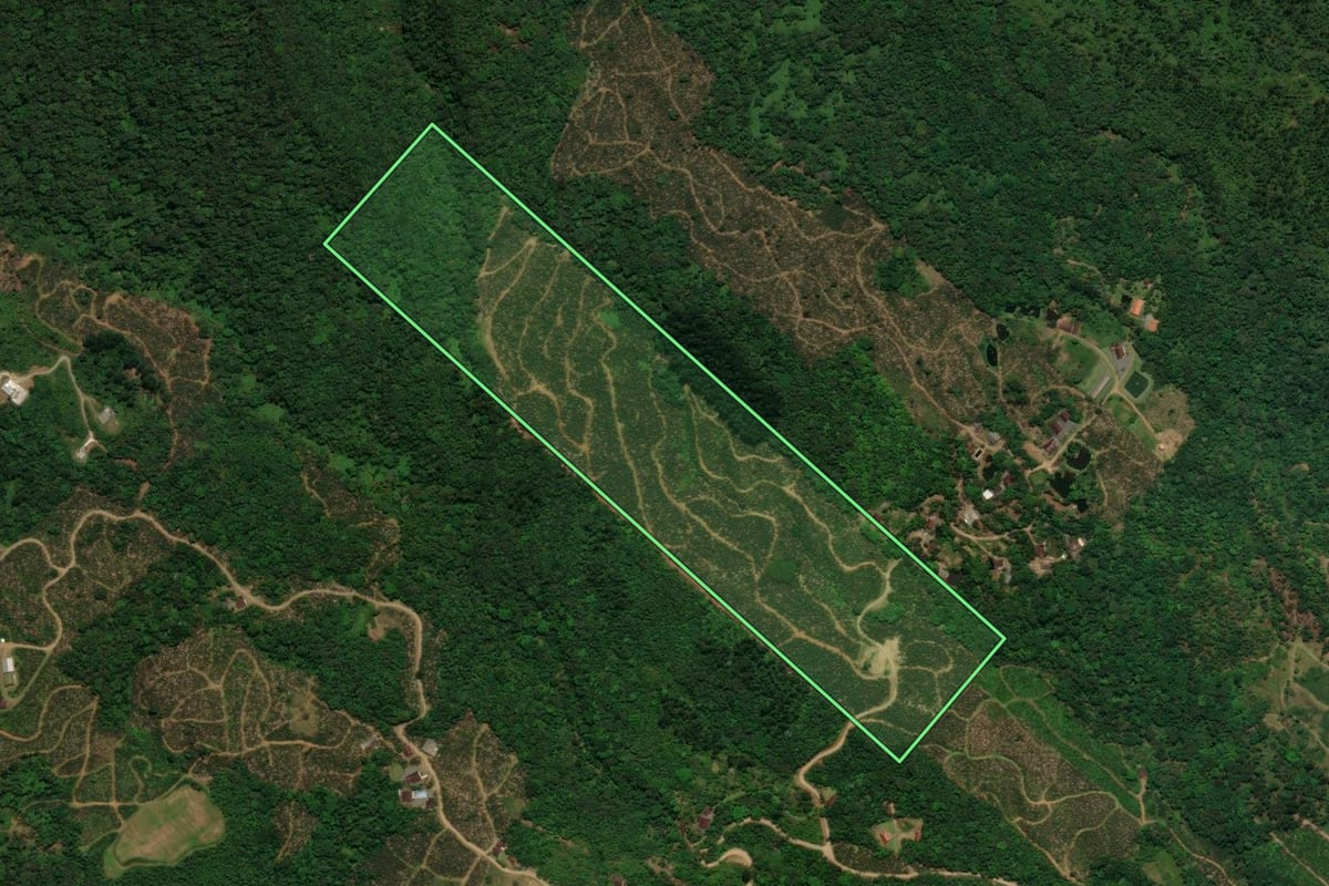 Imagem de satélite do imóvel rural em Jaraguá do Sul (SC), com o contorno declarado no CAR desenhado por cima.