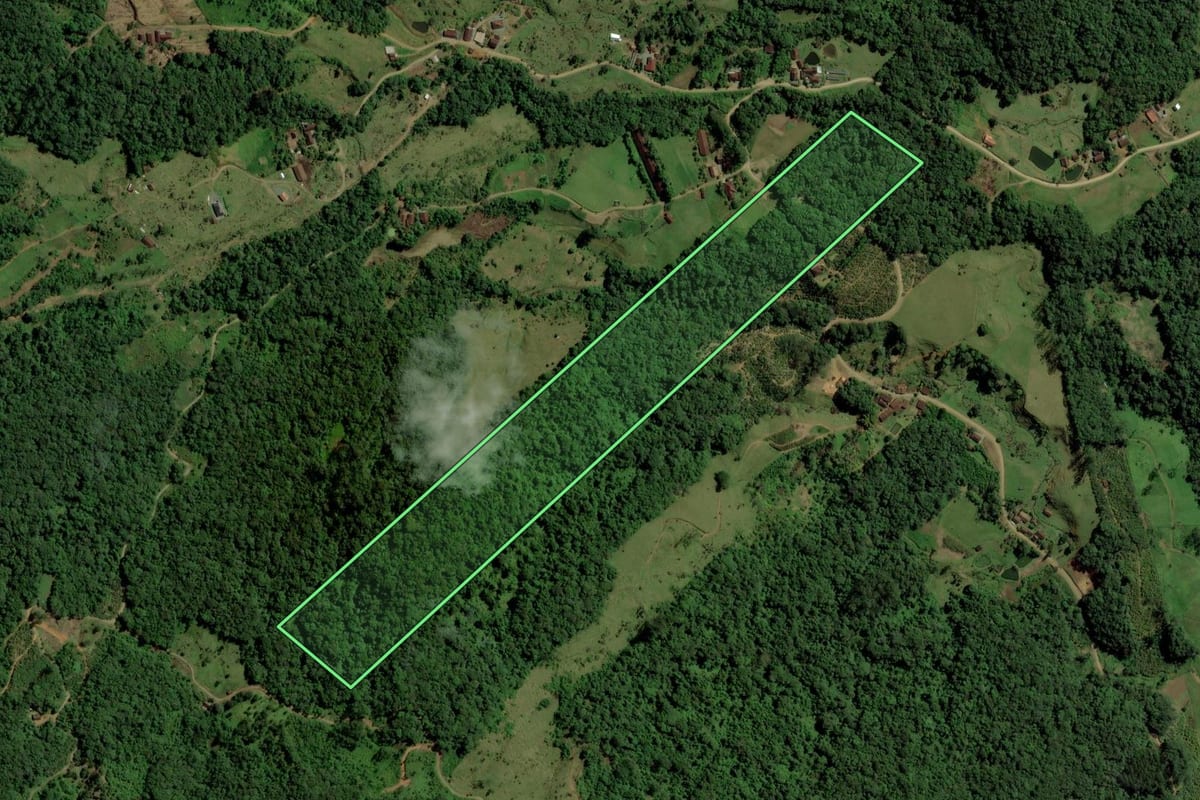 Imagem de satélite do imóvel rural em Jaraguá do Sul (SC), com o contorno declarado no CAR desenhado por cima.