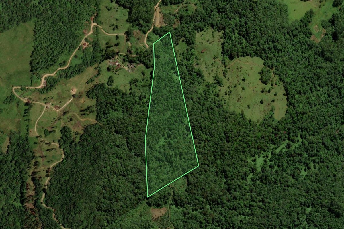 Imagem de satélite do imóvel rural em Jaraguá do Sul (SC), com o contorno declarado no CAR desenhado por cima.