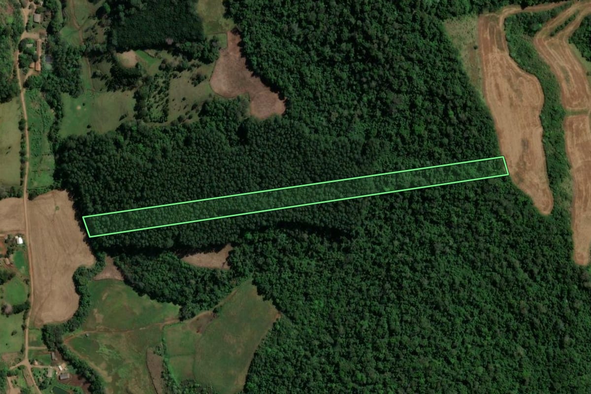 Imagem de satélite do imóvel rural em Jardinópolis (SC), com o contorno declarado no CAR desenhado por cima.