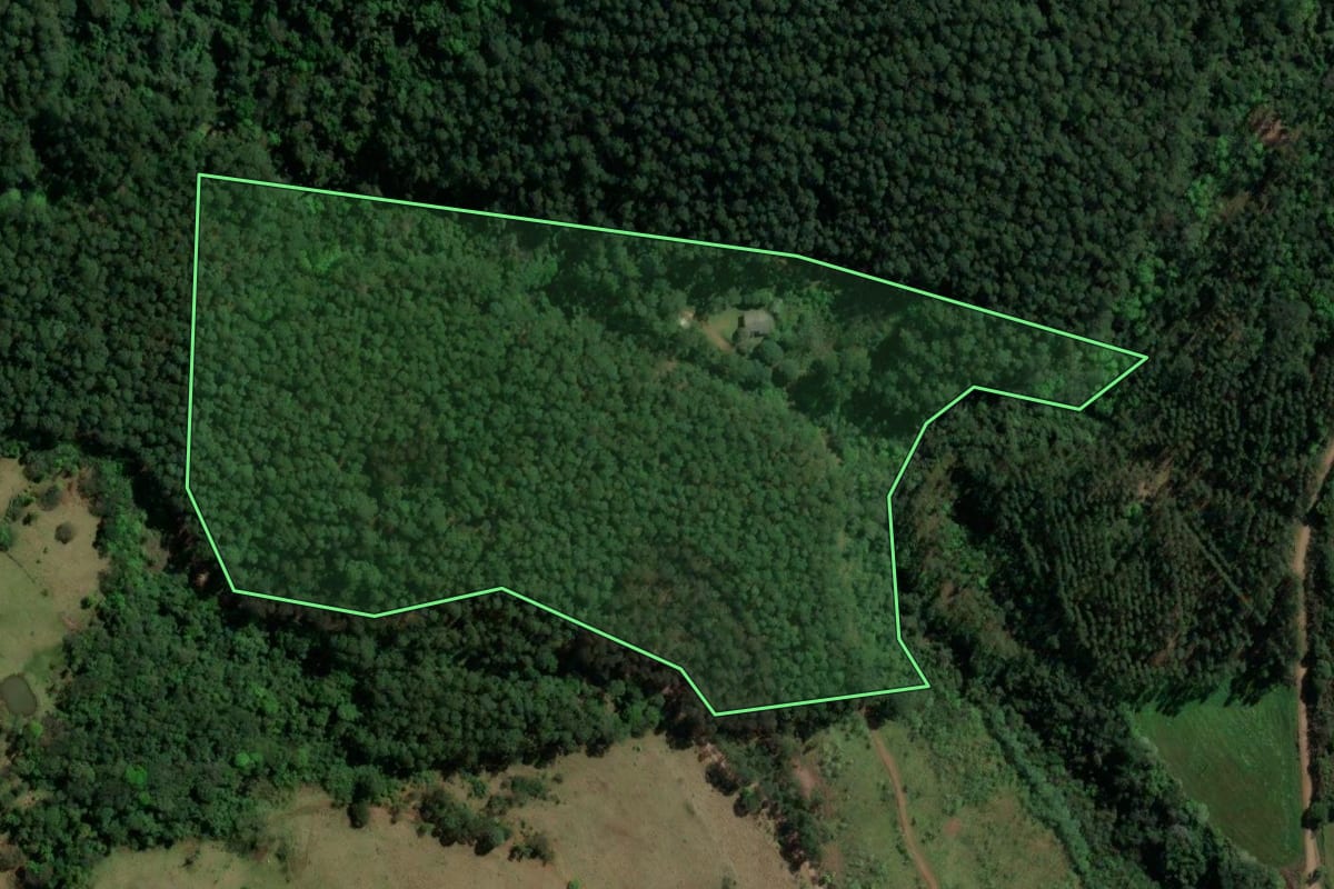 Imagem de satélite do imóvel rural em Jardinópolis (SC), com o contorno declarado no CAR desenhado por cima.