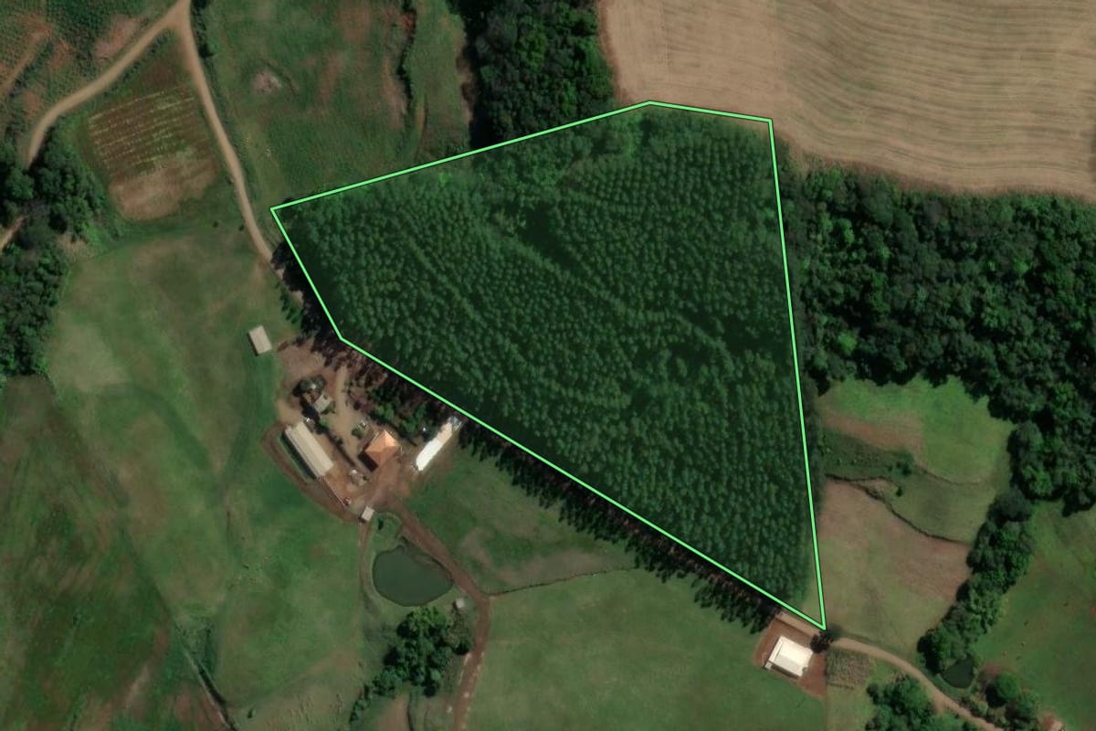Imagem de satélite do imóvel rural em Jardinópolis (SC), com o contorno declarado no CAR desenhado por cima.