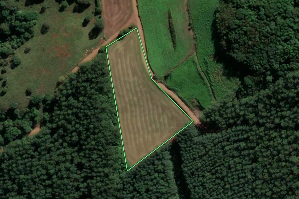 Imagem de satélite do imóvel rural em Jardinópolis (SC), com o contorno declarado no CAR desenhado por cima.