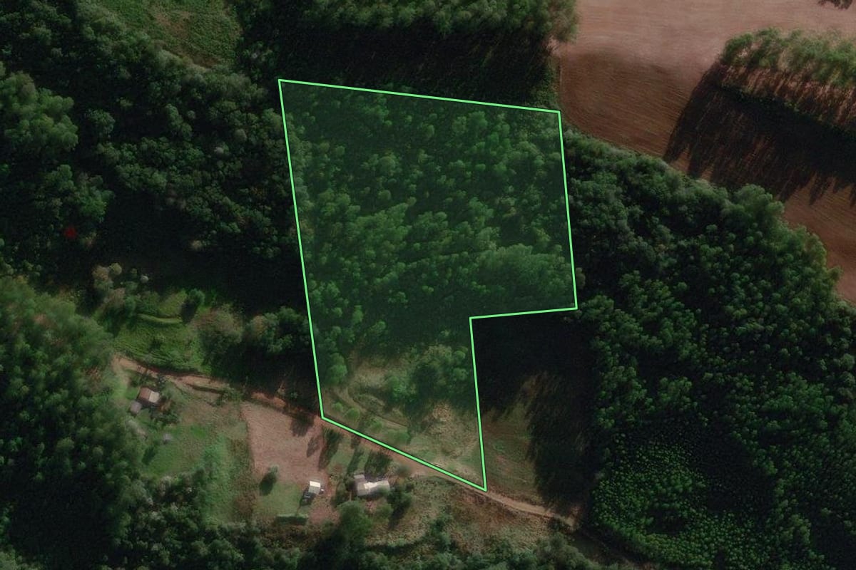 Imagem de satélite do imóvel rural em Jardinópolis (SC), com o contorno declarado no CAR desenhado por cima.
