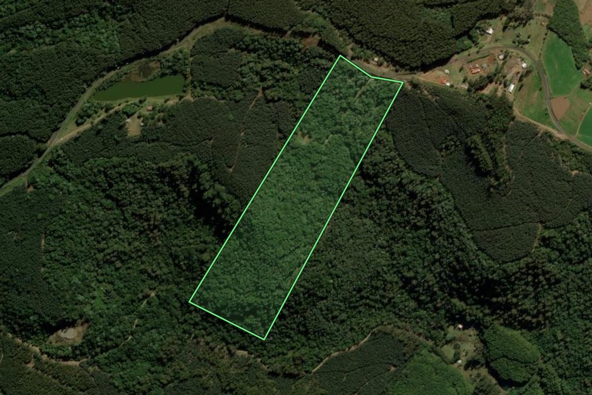 Imagem de satélite do imóvel rural em Joaçaba (SC), com o contorno declarado no CAR desenhado por cima.