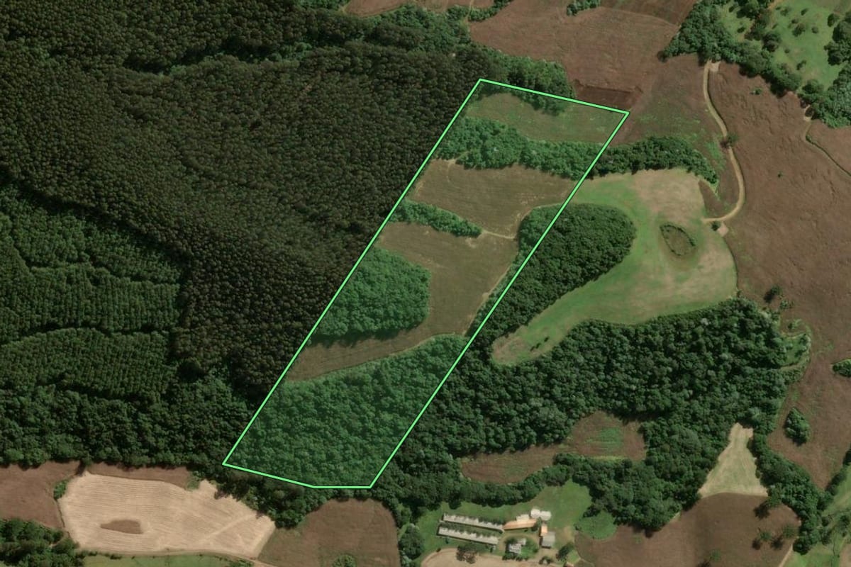 Imagem de satélite do imóvel rural em Joaçaba (SC), com o contorno declarado no CAR desenhado por cima.