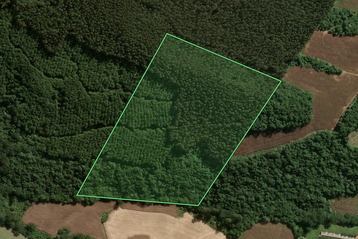 Imagem de satélite do imóvel rural em Joaçaba (SC), com o contorno declarado no CAR desenhado por cima.