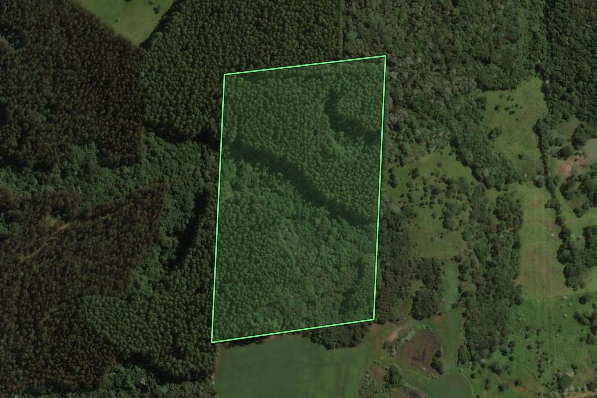 Imagem de satélite do imóvel rural em Joaçaba (SC), com o contorno declarado no CAR desenhado por cima.