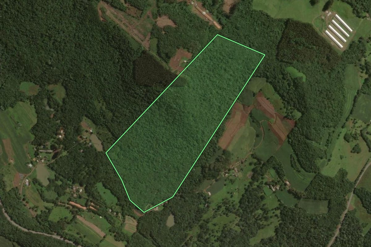 Imagem de satélite do imóvel rural em Joaçaba (SC), com o contorno declarado no CAR desenhado por cima.