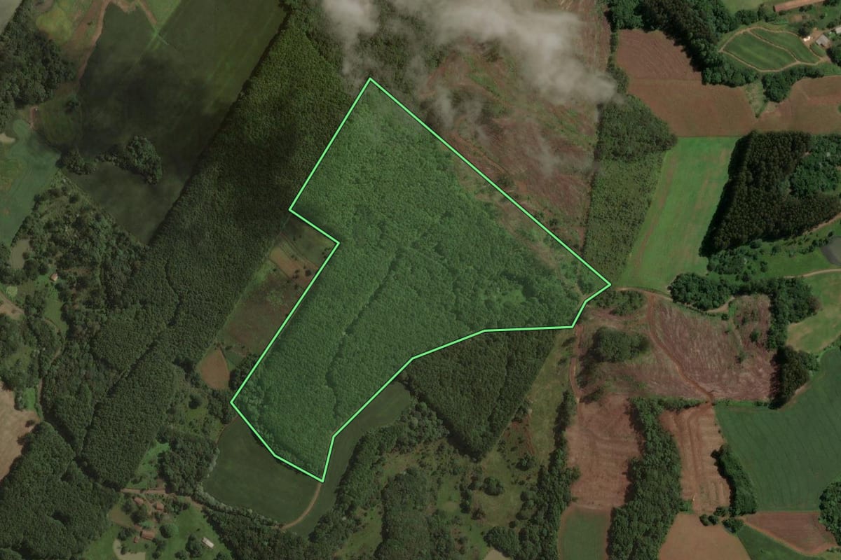 Imagem de satélite do imóvel rural em Joaçaba (SC), com o contorno declarado no CAR desenhado por cima.
