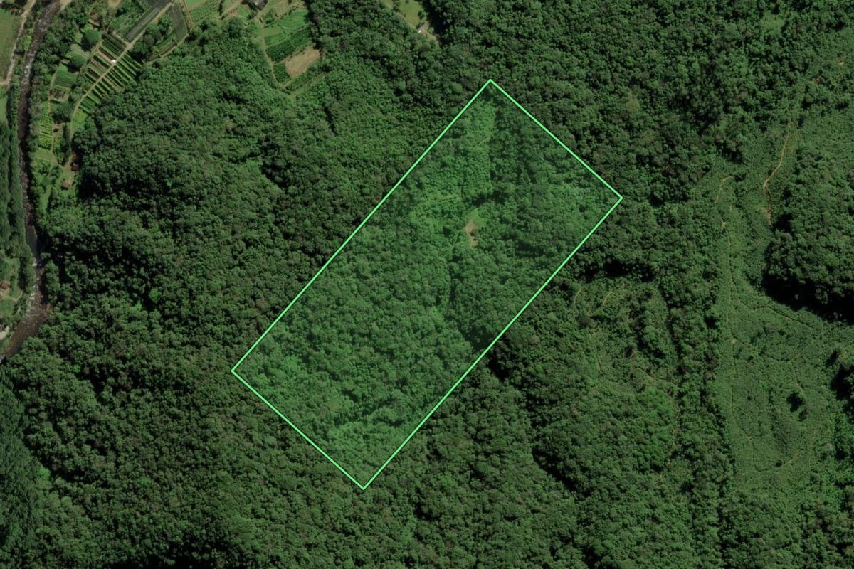 Imagem de satélite do imóvel rural em Joinville (SC), com o contorno declarado no CAR desenhado por cima.
