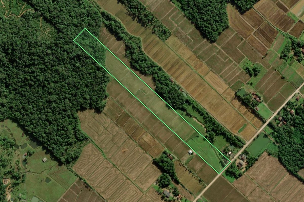Imagem de satélite do imóvel rural em Joinville (SC), com o contorno declarado no CAR desenhado por cima.