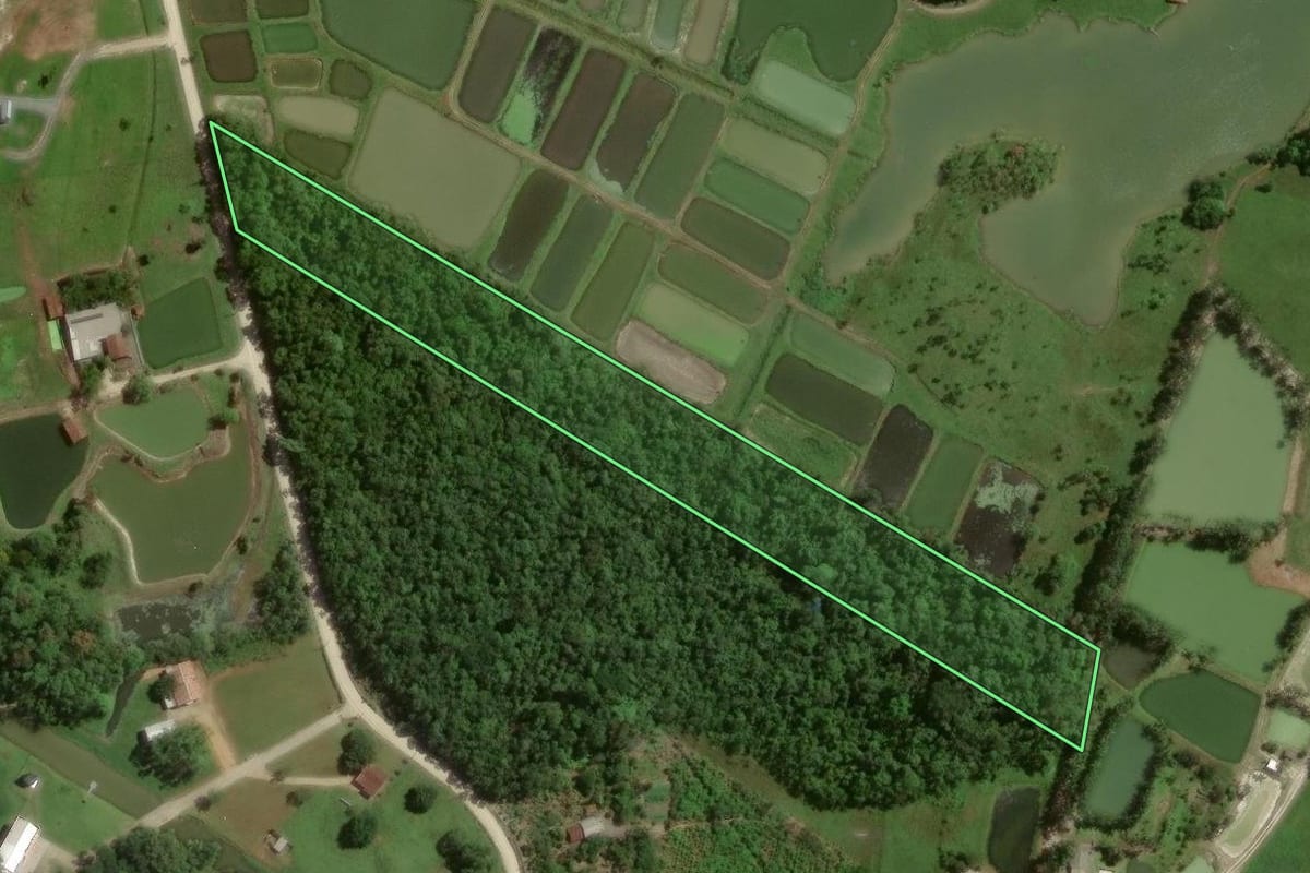 Imagem de satélite do imóvel rural em Joinville (SC), com o contorno declarado no CAR desenhado por cima.