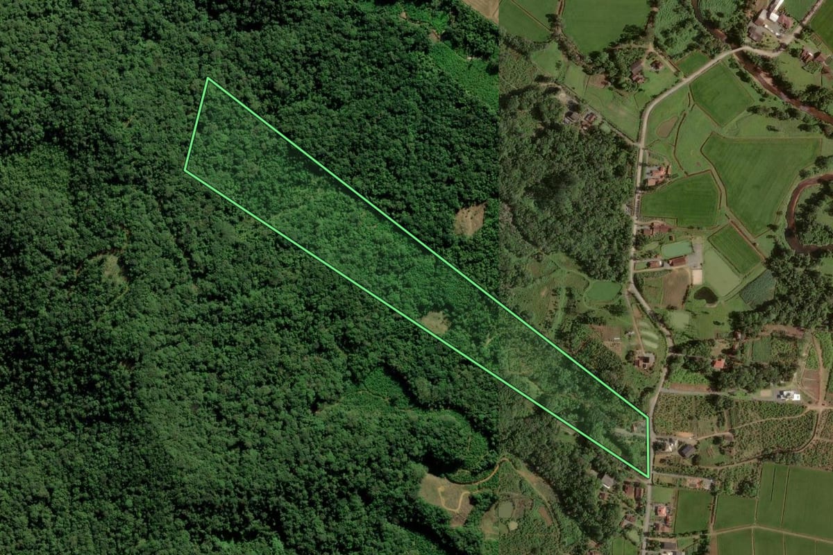 Imagem de satélite do imóvel rural em Joinville (SC), com o contorno declarado no CAR desenhado por cima.