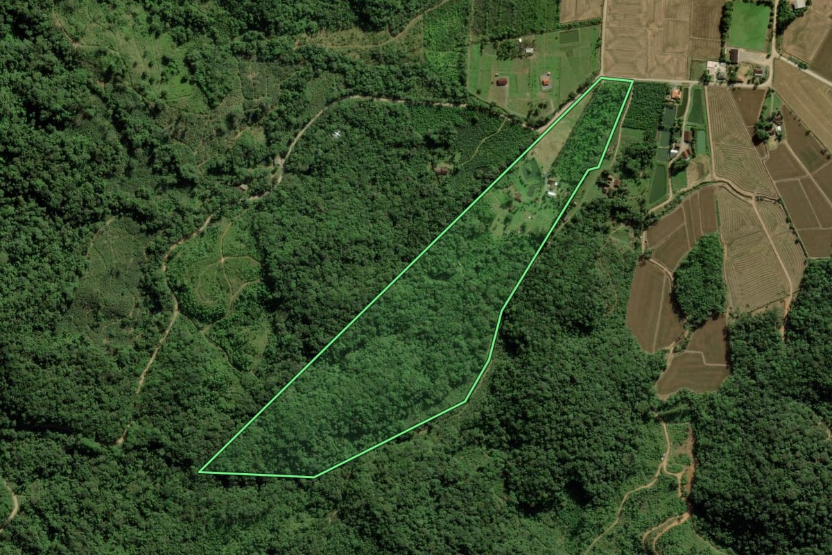 Imagem de satélite do imóvel rural em Joinville (SC), com o contorno declarado no CAR desenhado por cima.