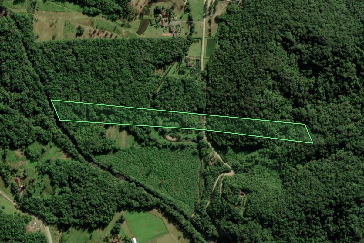Imagem de satélite do imóvel rural em Joinville (SC), com o contorno declarado no CAR desenhado por cima.