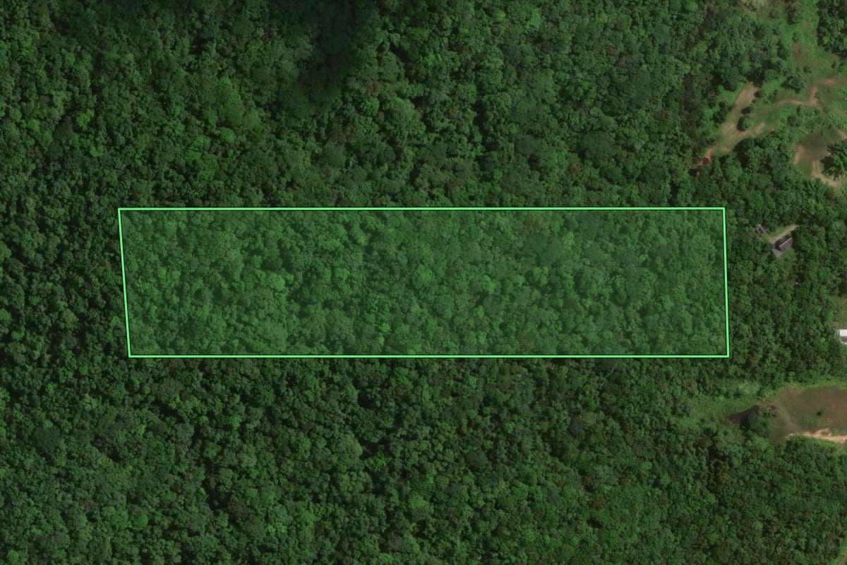 Imagem de satélite do imóvel rural em Joinville (SC), com o contorno declarado no CAR desenhado por cima.