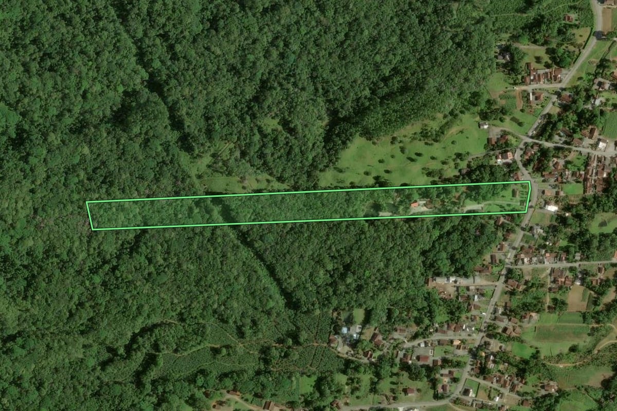 Imagem de satélite do imóvel rural em Joinville (SC), com o contorno declarado no CAR desenhado por cima.
