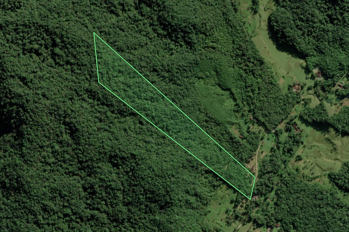 Imagem de satélite do imóvel rural em Joinville (SC), com o contorno declarado no CAR desenhado por cima.