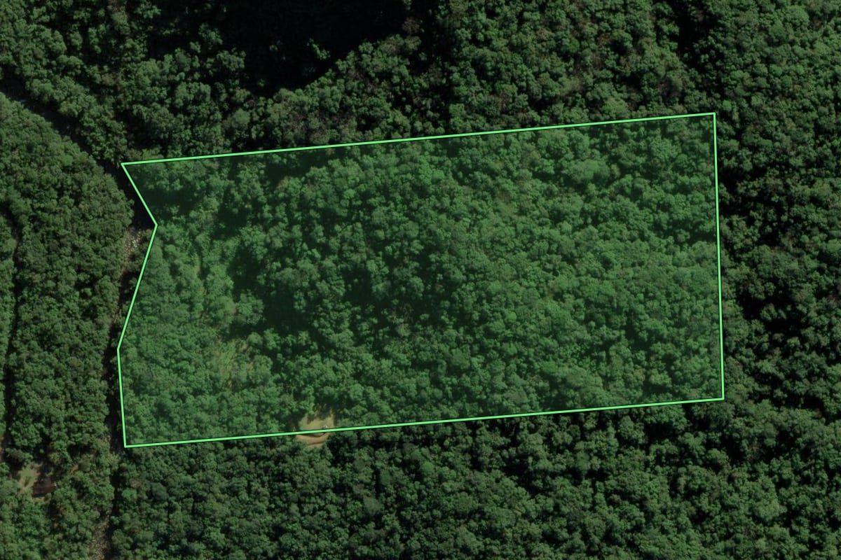Imagem de satélite do imóvel rural em Joinville (SC), com o contorno declarado no CAR desenhado por cima.