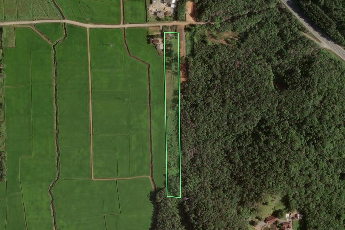 Imagem de satélite do imóvel rural em Joinville (SC), com o contorno declarado no CAR desenhado por cima.
