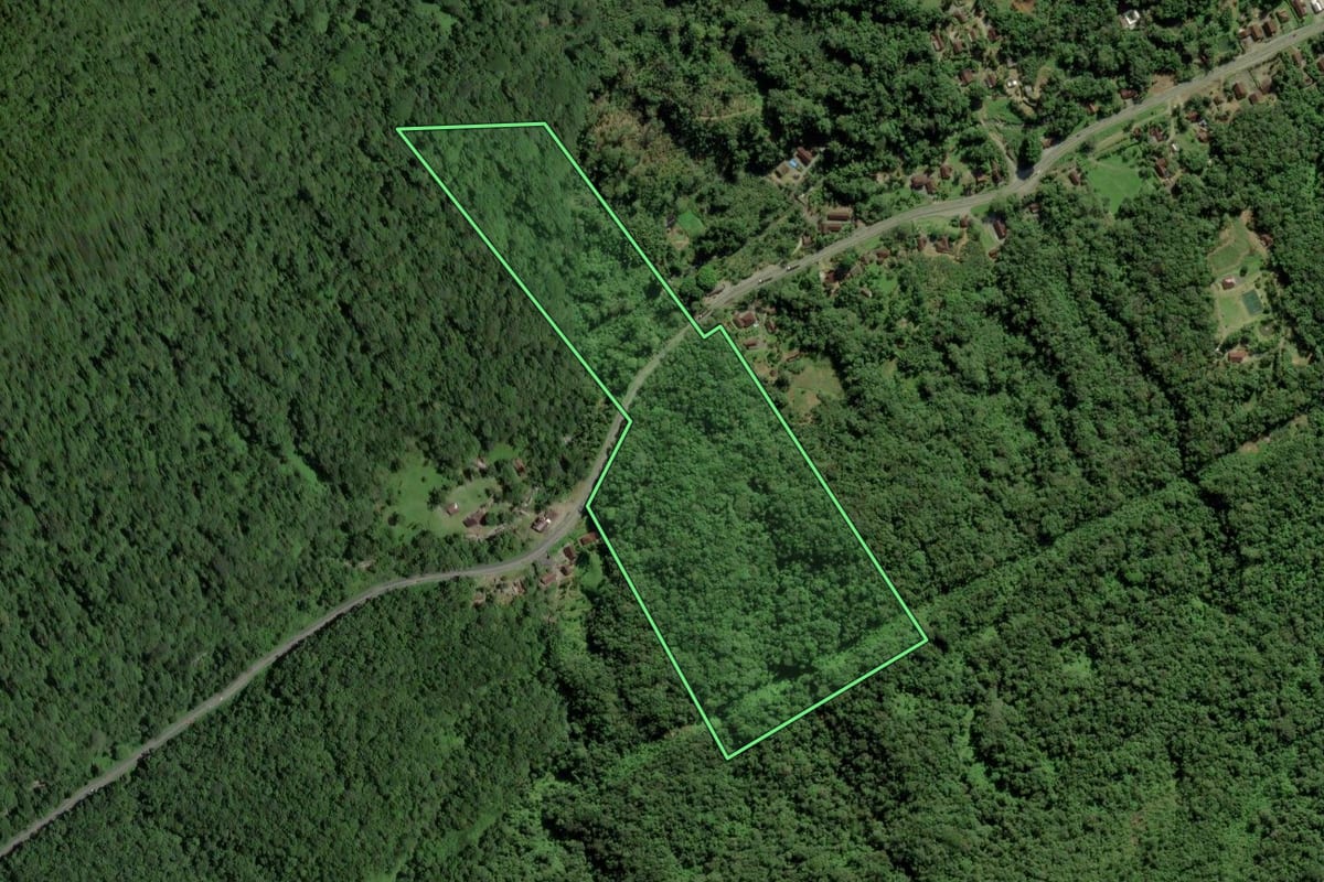 Imagem de satélite do imóvel rural em Joinville (SC), com o contorno declarado no CAR desenhado por cima.