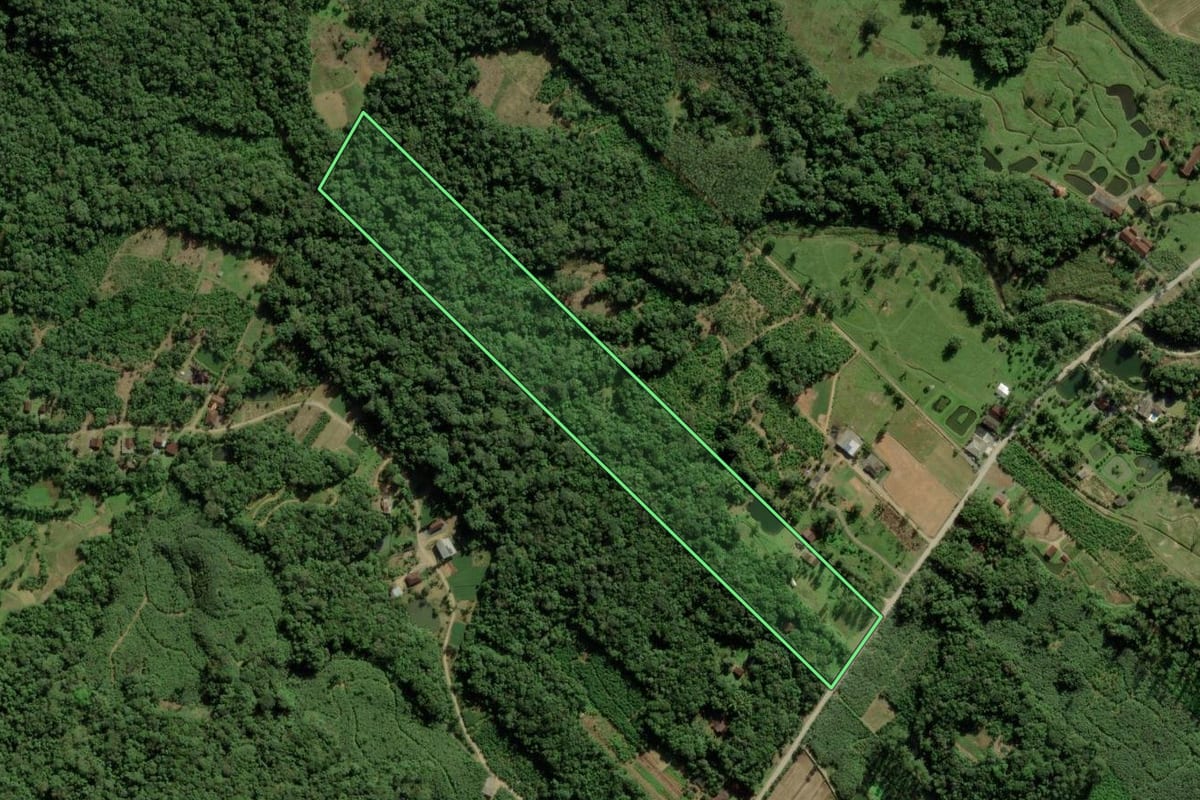 Imagem de satélite do imóvel rural em Joinville (SC), com o contorno declarado no CAR desenhado por cima.