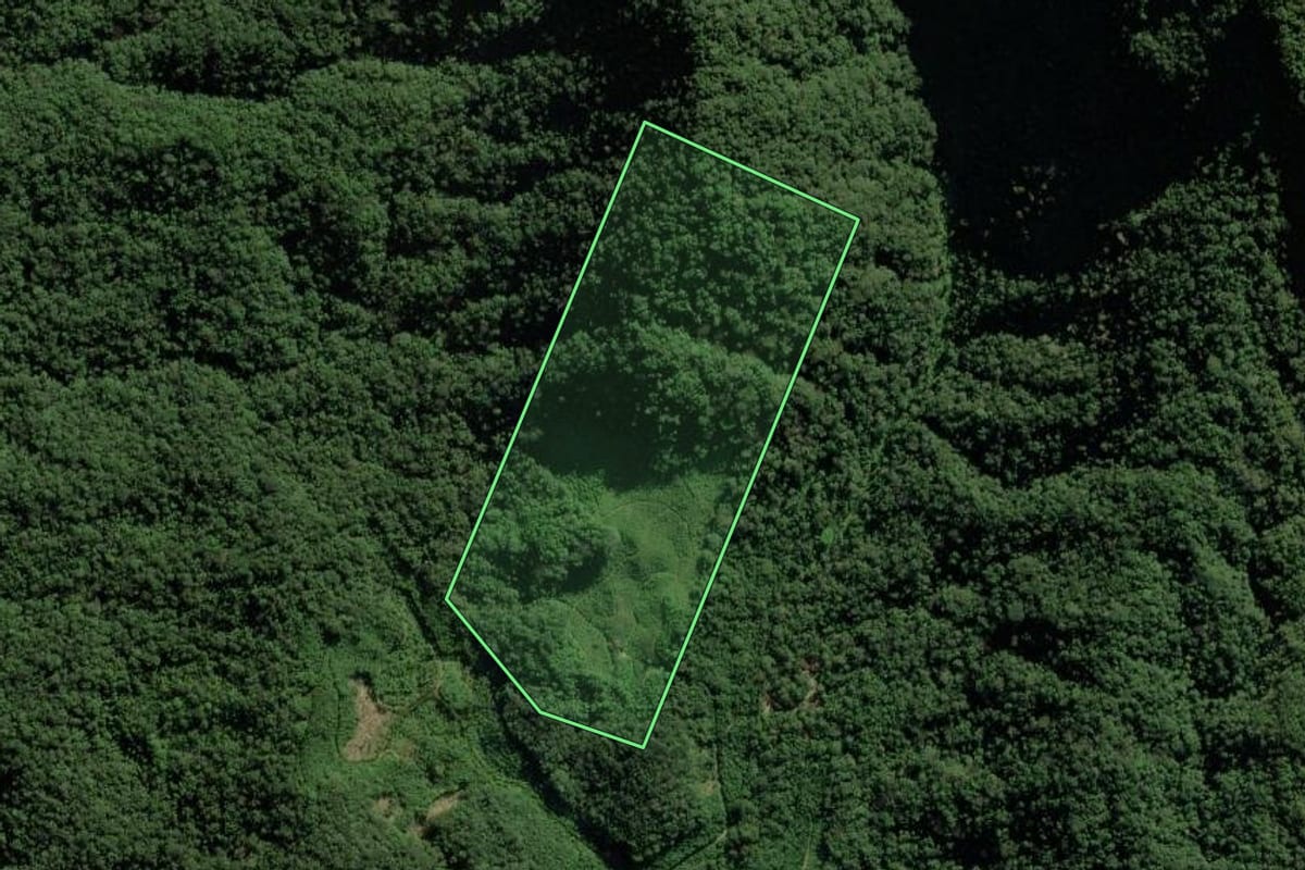 Imagem de satélite do imóvel rural em Joinville (SC), com o contorno declarado no CAR desenhado por cima.