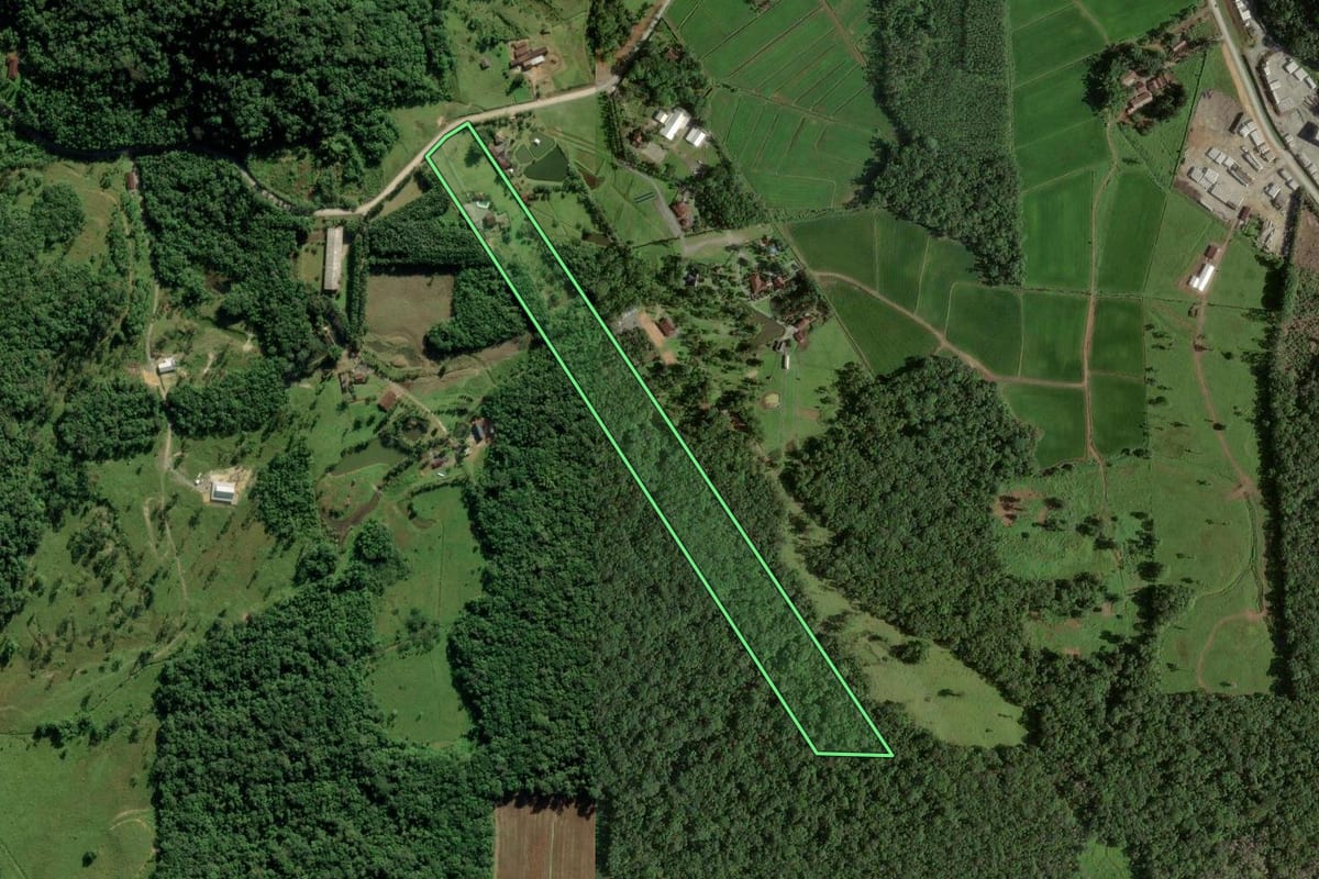 Imagem de satélite do imóvel rural em Joinville (SC), com o contorno declarado no CAR desenhado por cima.