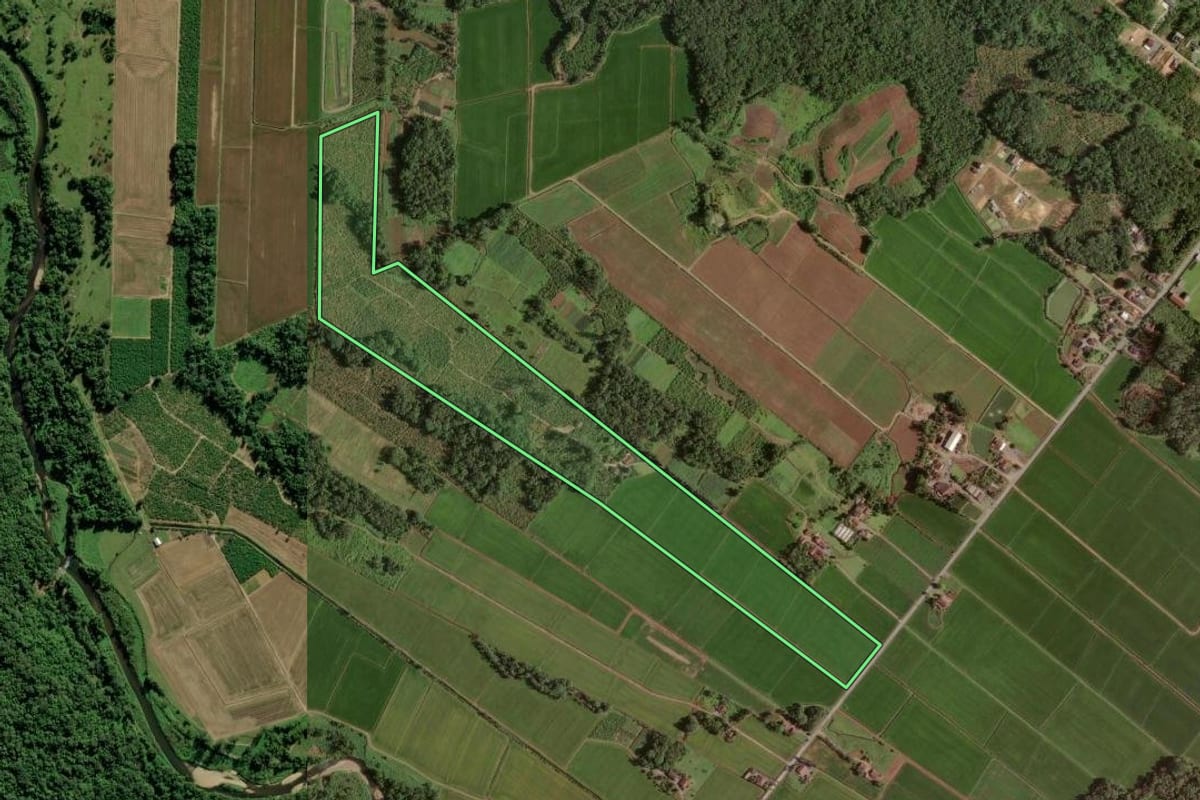 Imagem de satélite do imóvel rural em Joinville (SC), com o contorno declarado no CAR desenhado por cima.