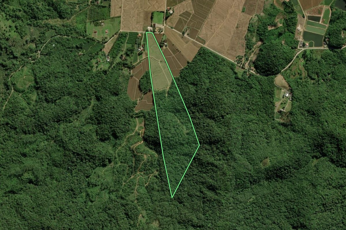 Imagem de satélite do imóvel rural em Joinville (SC), com o contorno declarado no CAR desenhado por cima.