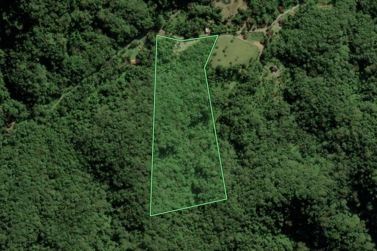 Imagem de satélite do imóvel rural em Joinville (SC), com o contorno declarado no CAR desenhado por cima.