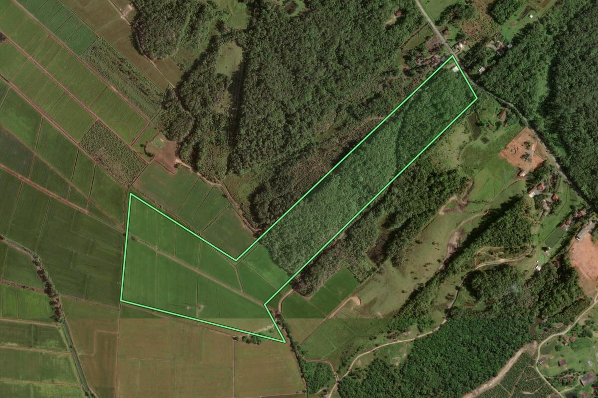 Imagem de satélite do imóvel rural em Joinville (SC), com o contorno declarado no CAR desenhado por cima.