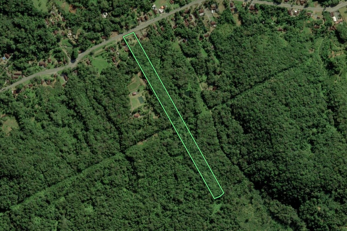 Imagem de satélite do imóvel rural em Joinville (SC), com o contorno declarado no CAR desenhado por cima.