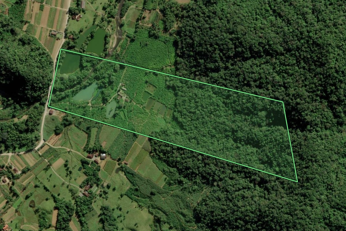 Imagem de satélite do imóvel rural em Joinville (SC), com o contorno declarado no CAR desenhado por cima.