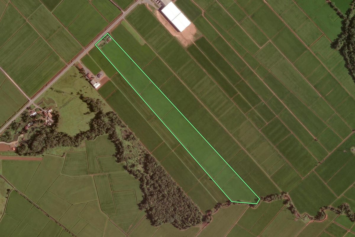 Imagem de satélite do imóvel rural em Joinville (SC), com o contorno declarado no CAR desenhado por cima.