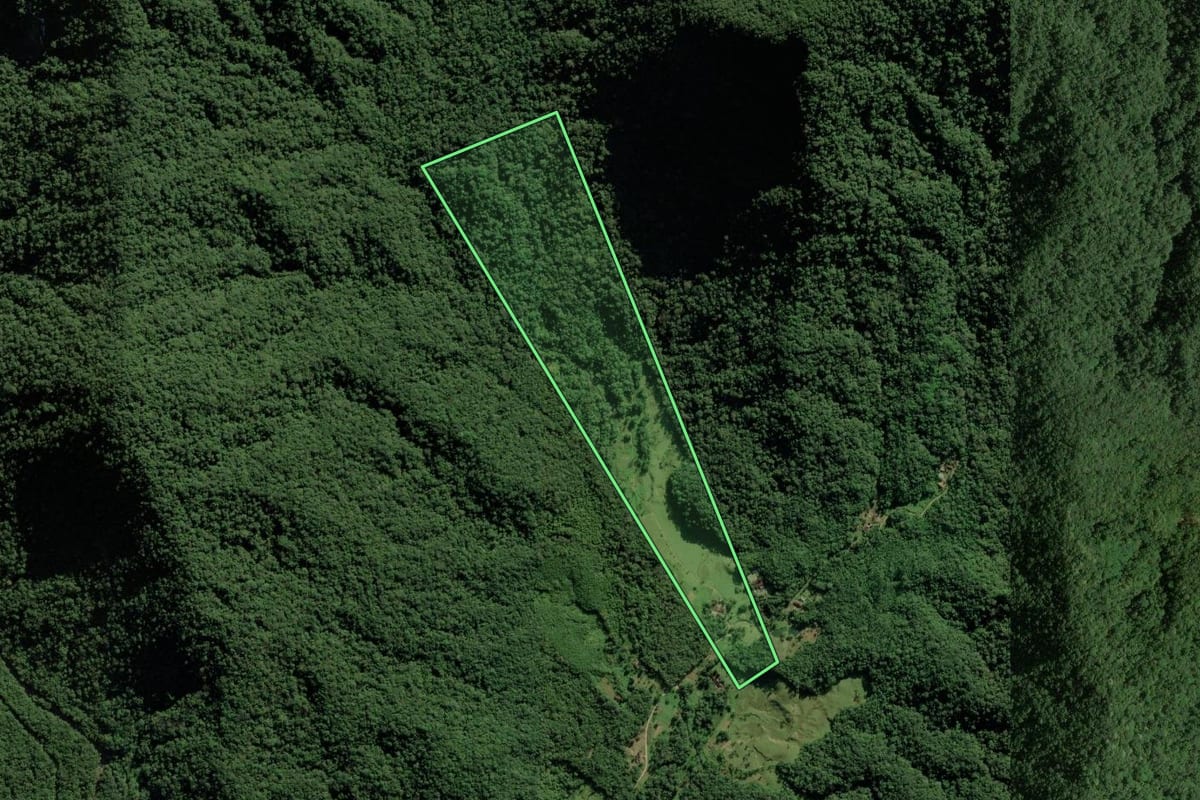 Imagem de satélite do imóvel rural em Joinville (SC), com o contorno declarado no CAR desenhado por cima.