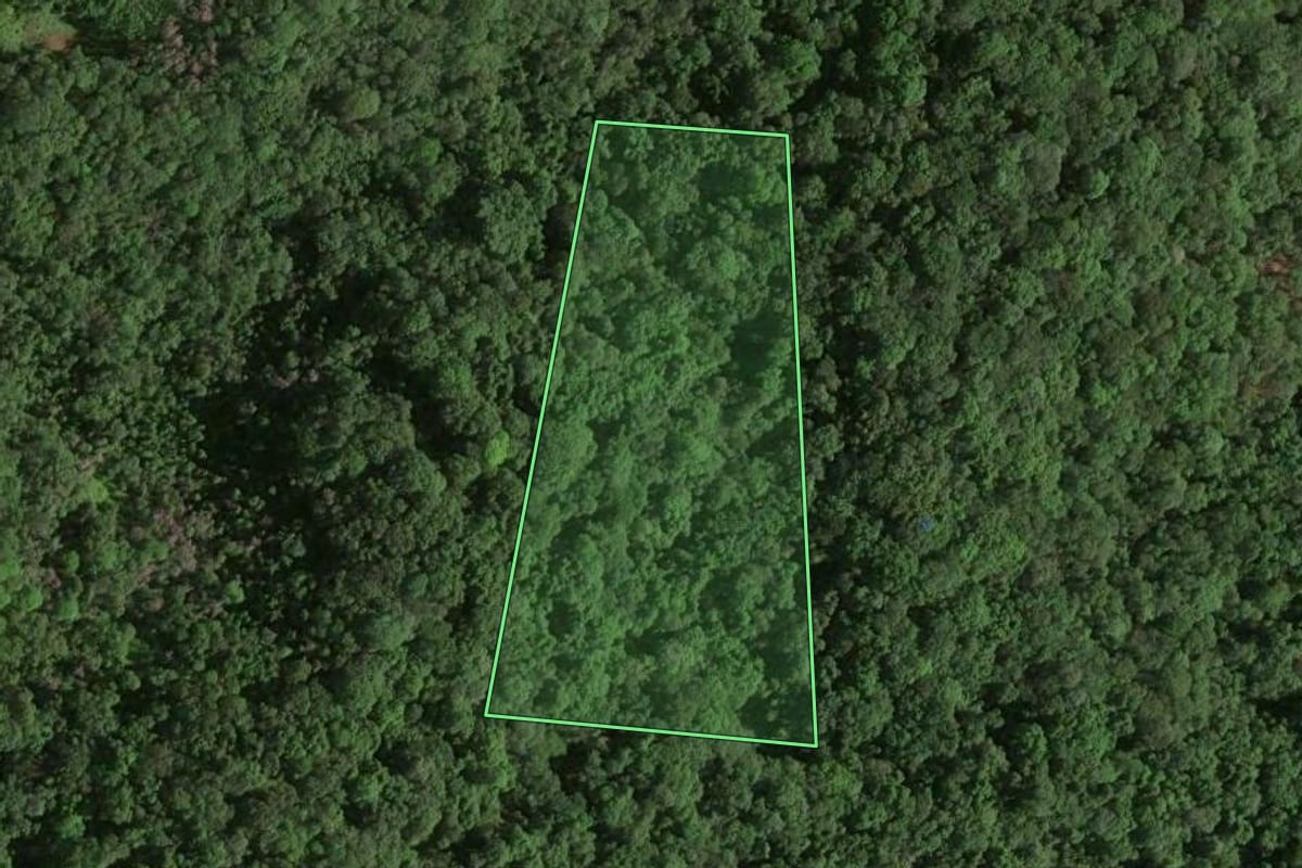 Imagem de satélite do imóvel rural em Joinville (SC), com o contorno declarado no CAR desenhado por cima.