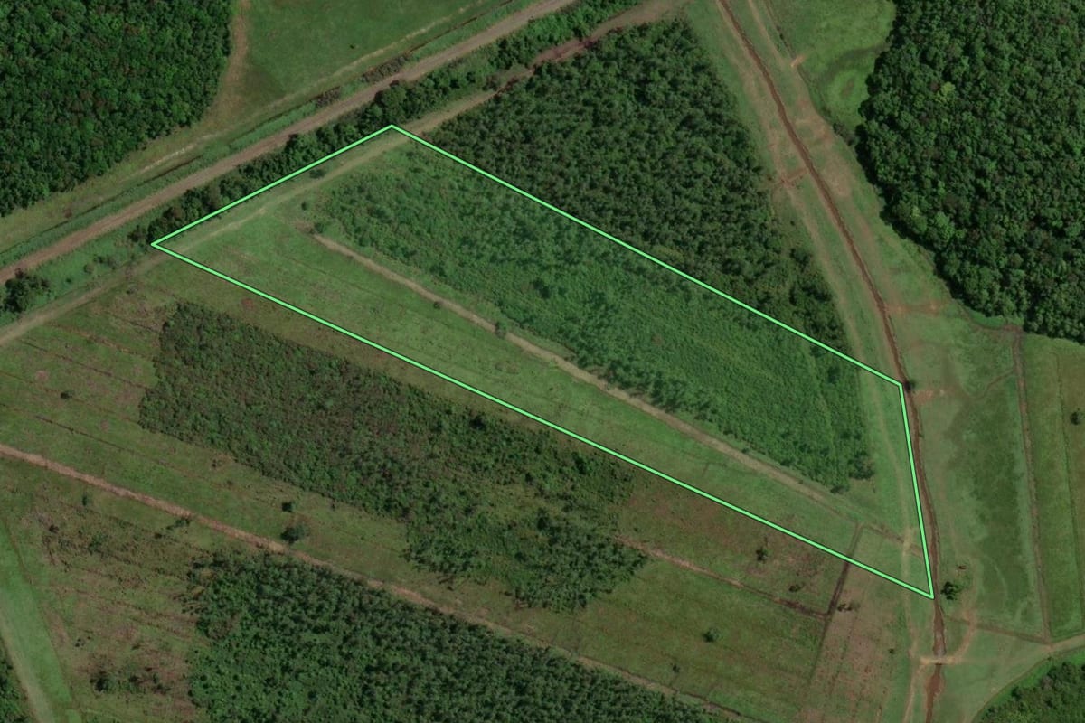 Imagem de satélite do imóvel rural em Joinville (SC), com o contorno declarado no CAR desenhado por cima.