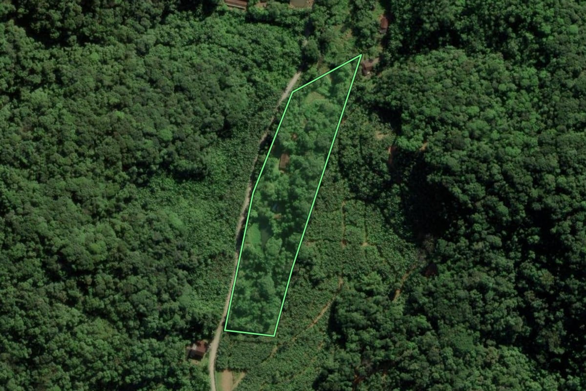 Imagem de satélite do imóvel rural em Joinville (SC), com o contorno declarado no CAR desenhado por cima.