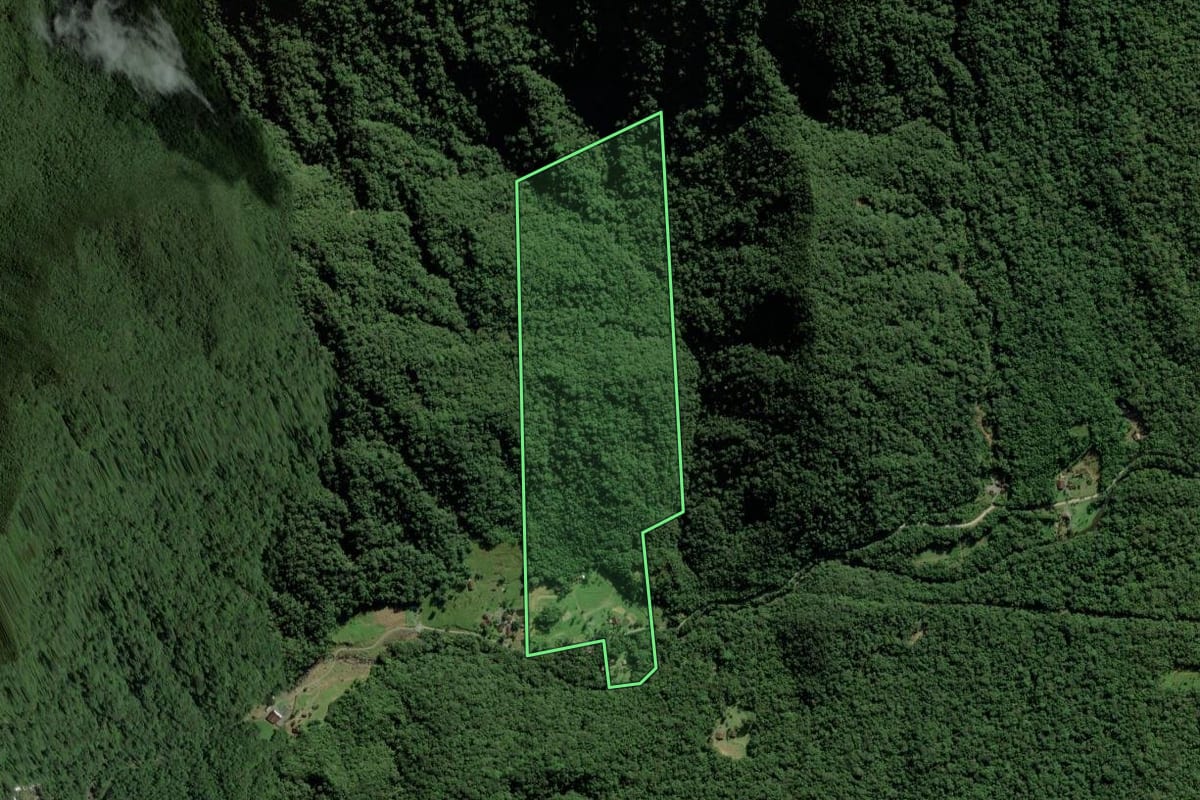 Imagem de satélite do imóvel rural em Joinville (SC), com o contorno declarado no CAR desenhado por cima.