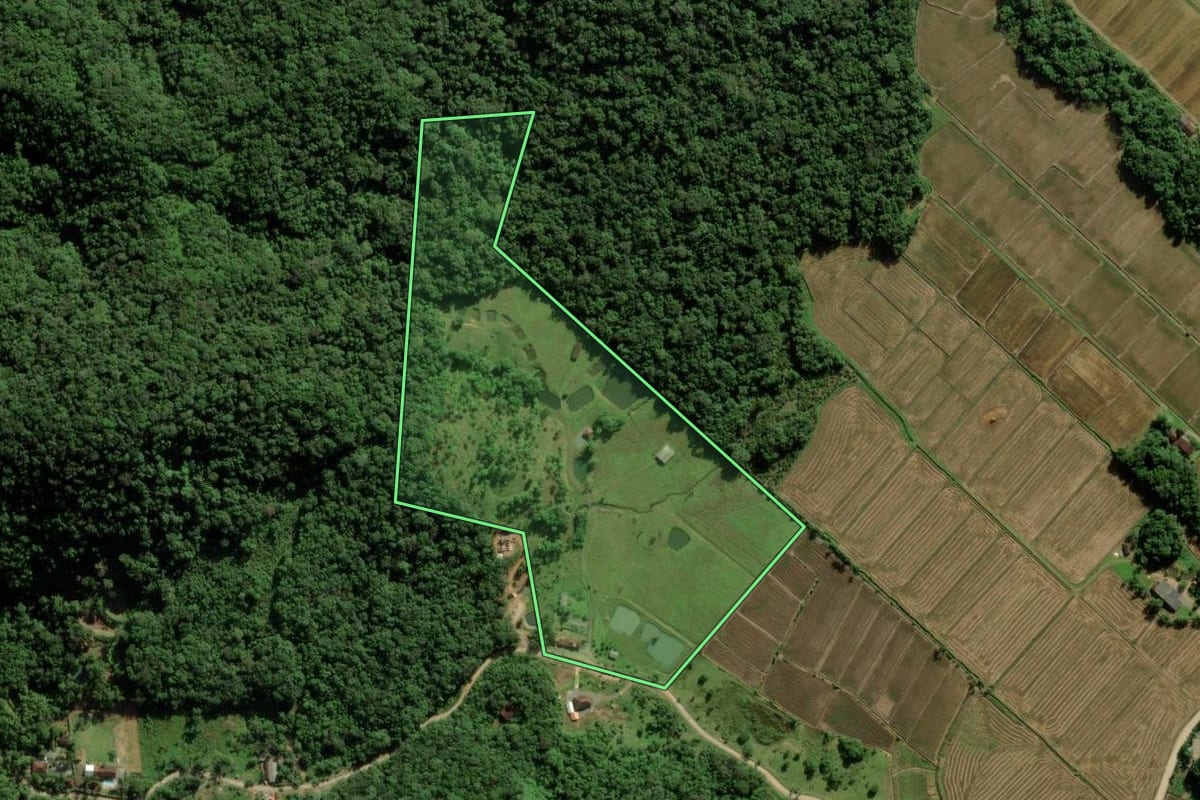 Imagem de satélite do imóvel rural em Joinville (SC), com o contorno declarado no CAR desenhado por cima.