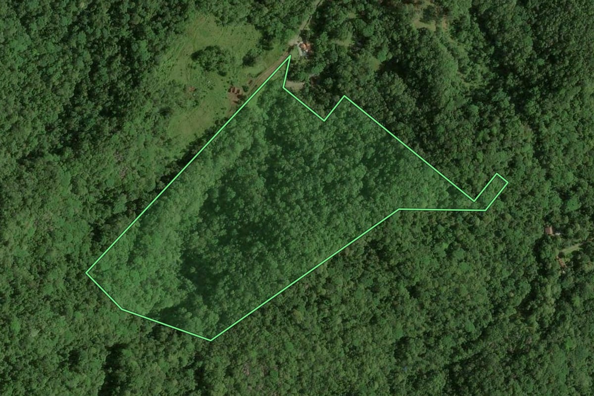Imagem de satélite do imóvel rural em Joinville (SC), com o contorno declarado no CAR desenhado por cima.