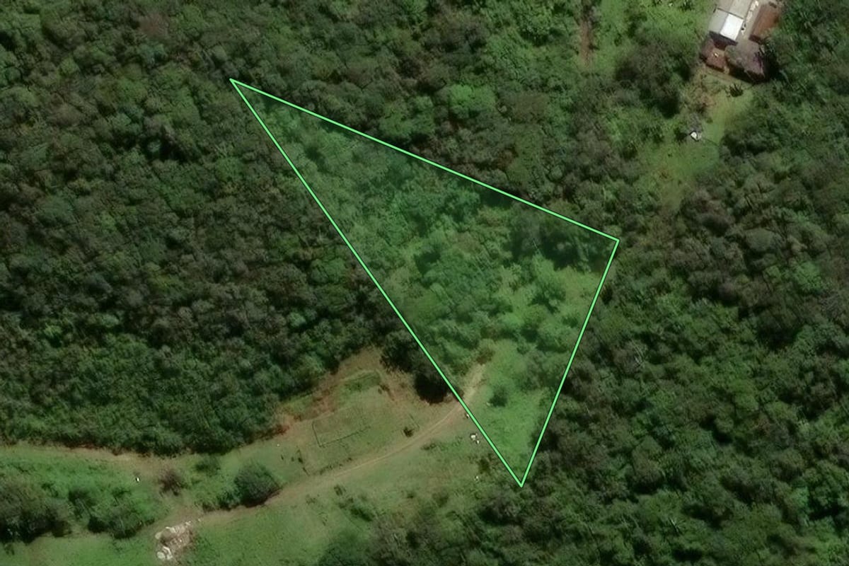 Imagem de satélite do imóvel rural em Joinville (SC), com o contorno declarado no CAR desenhado por cima.