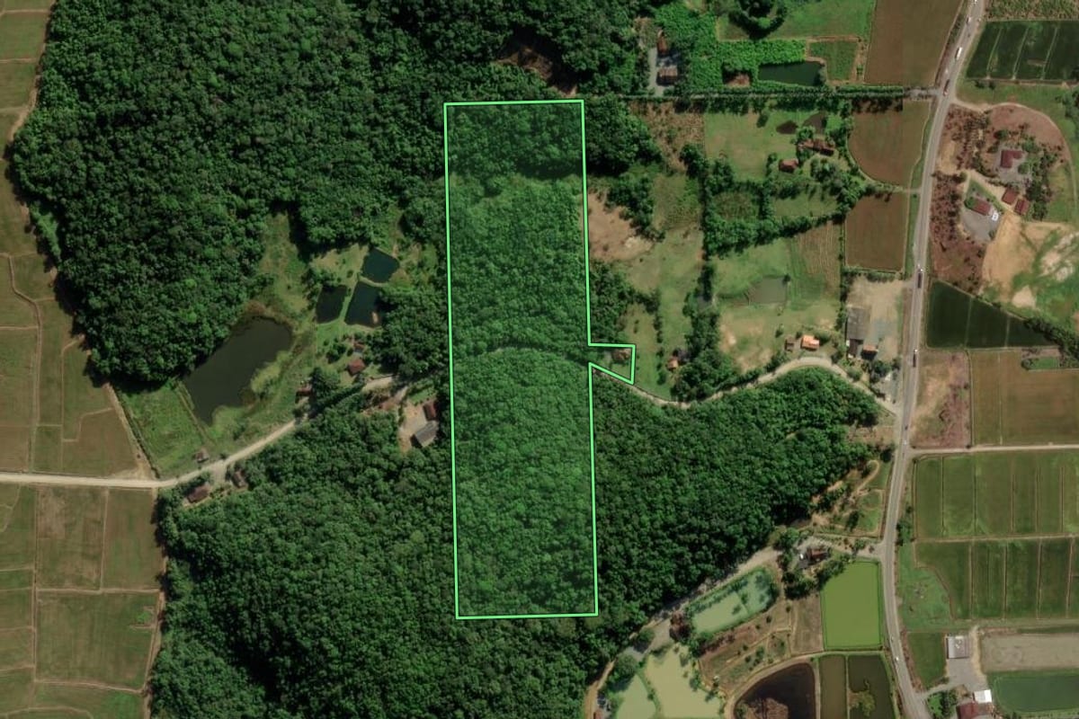 Imagem de satélite do imóvel rural em Joinville (SC), com o contorno declarado no CAR desenhado por cima.