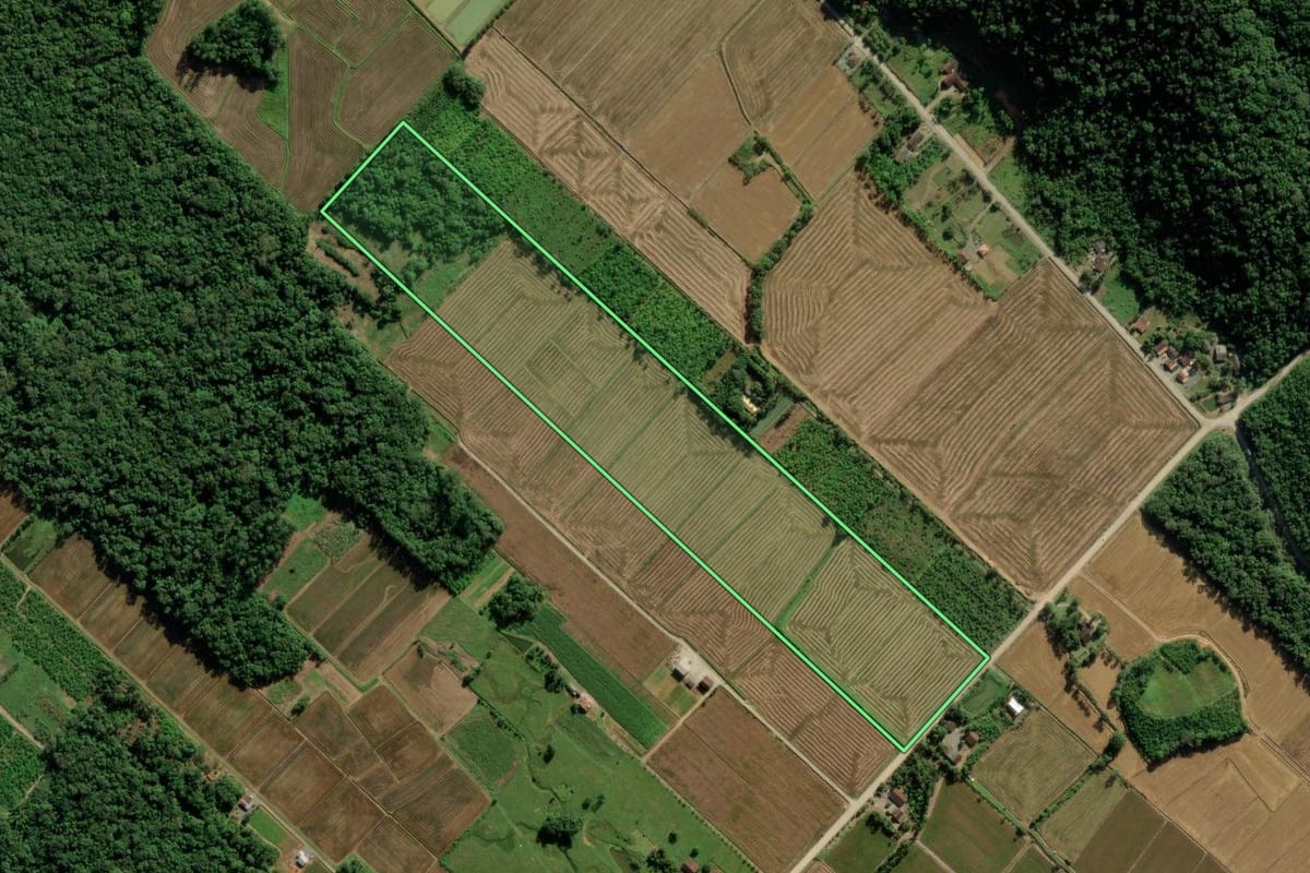 Imagem de satélite do imóvel rural em Joinville (SC), com o contorno declarado no CAR desenhado por cima.